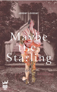 Maybe the Starling by Jeremy Loveday